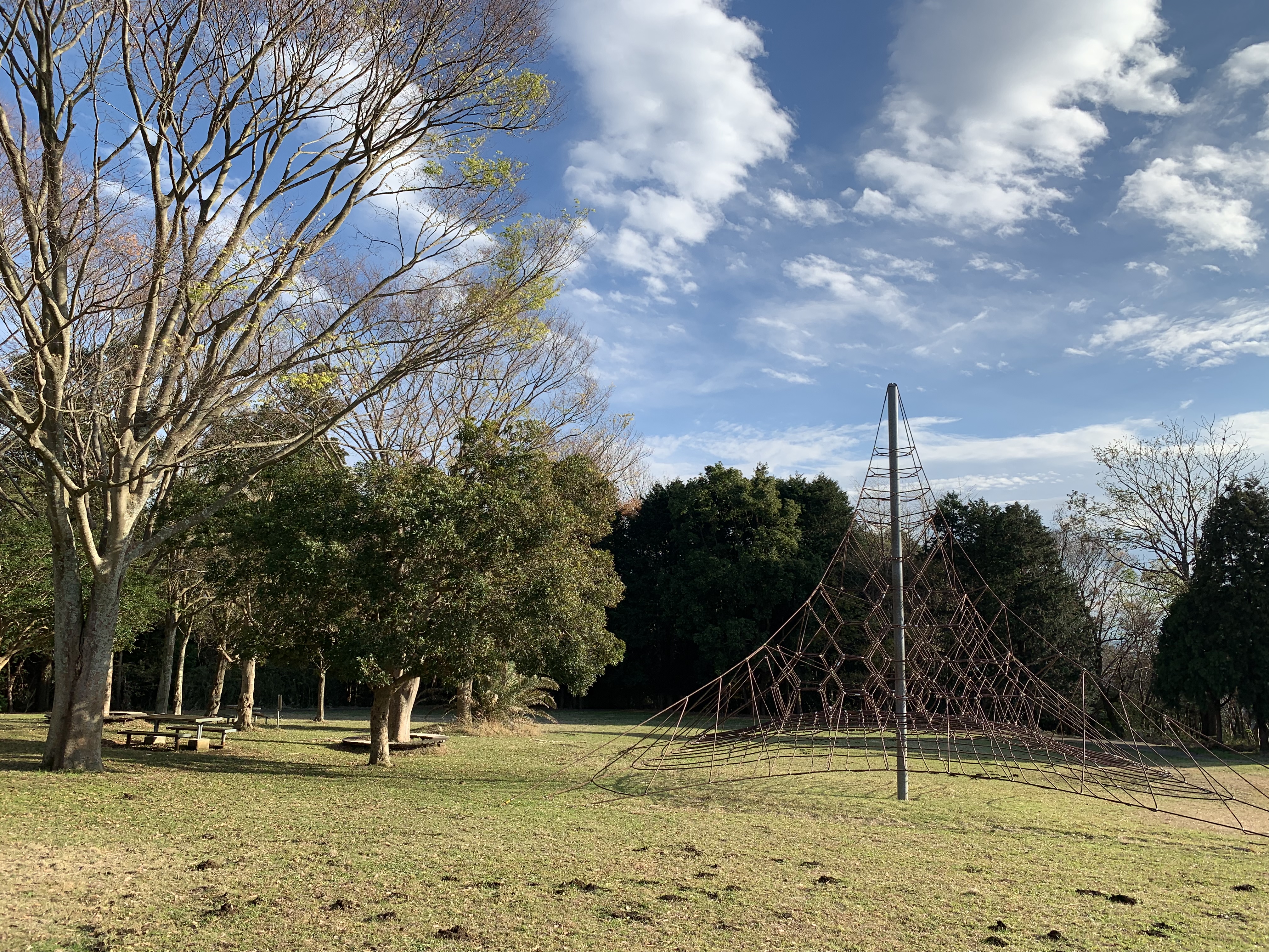 芝生広場は対象外